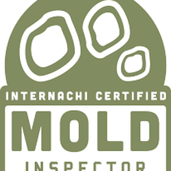 DMHI Home Inspections - GOT MOLD? Let our professional inspectors help you find out the answer.