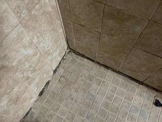 Brandon Place Apartments