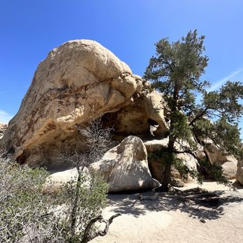 Barker Dam Trail - Petroglyphs ahead! - Hiking Near Me - Joshua Tree, California