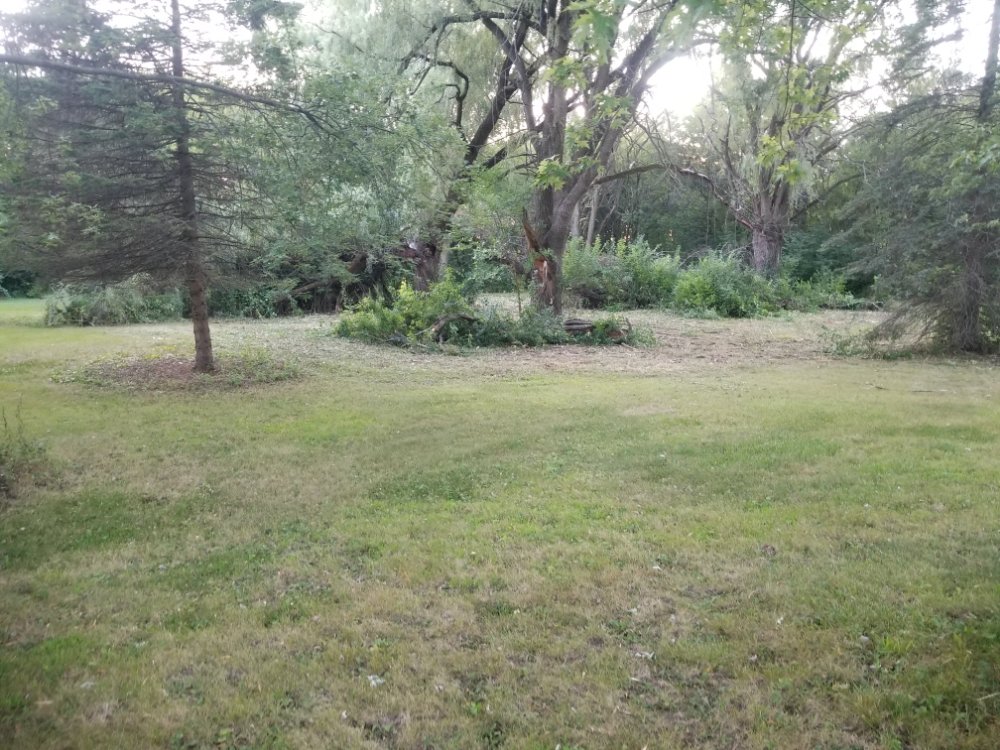 Slide of BFH Services