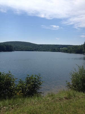 Lake Waramaug State Park Campground by null