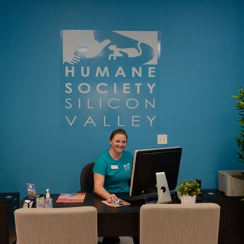 Humane Society Silicon Valley - Pet Adoption Near Me - San Jose, California Humane Society Silicon Valley - Pet Adoption Near Me - San Jose, California
