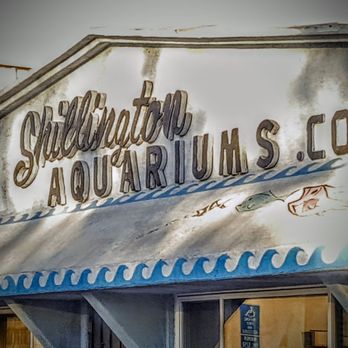 Shillington Aquariums - Pet Stores Near Me - Calimesa, California Shillington Aquariums - Pet Stores Near Me - Calimesa, California