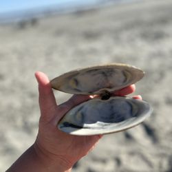Easton's Beach