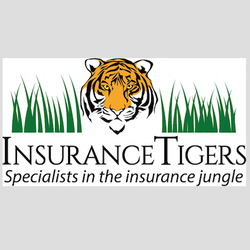 Insurance Tigers - Protecting Your Most Valuable Assets. Personal and Commercial