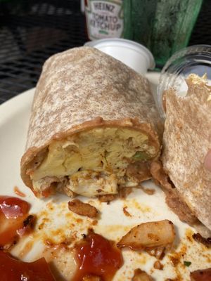 The Flying Fish by null