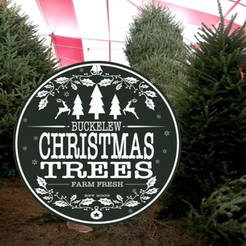 Buckelew Christmas Trees - Christmas Trees Near Me - Tucson, Arizona Buckelew Christmas Trees - Christmas Trees Near Me - Tucson, Arizona