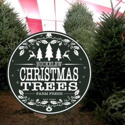 Buckelew Christmas Trees