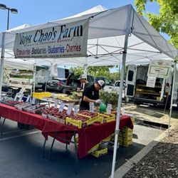 Mahany Park Farmers Market - 06.23.24 Yoon Chao's Farm [Marysville CA]