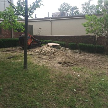 Tony's Tree Service - Tree removal with stump grind - Tree Services Near Me Tony's Tree Service - Tree removal with stump grind - Tree Services Near Me