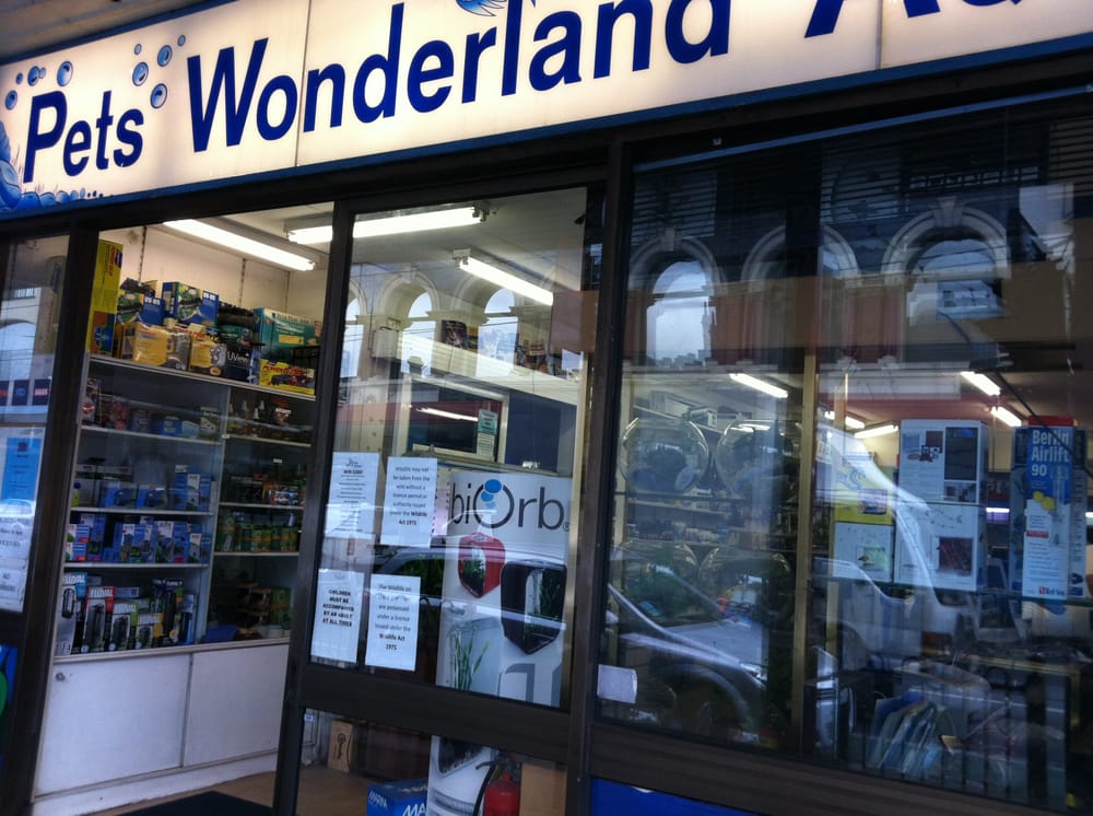 PETS WONDERLAND Updated September 2024 182 Chapel St, Prahran