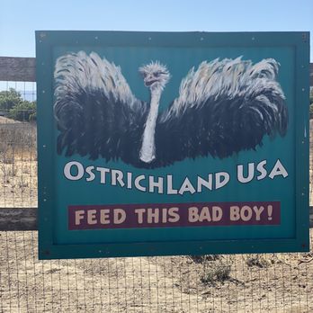 Ostrichland USA - Attraction Farms Near Me - Solvang, California Ostrichland USA - Attraction Farms Near Me - Solvang, California