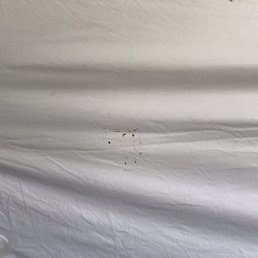 Dirty tent flaps Dirty tent flaps