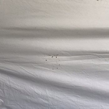 In Tents Events - Dirty tent flaps - Party Equipment Rentals Near Me - Tallahassee, Florida In Tents Events - Dirty tent flaps - Party Equipment Rentals Near Me - Tallahassee, Florida