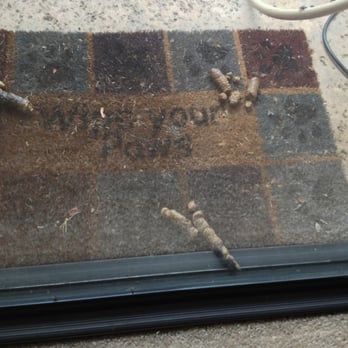 Wimbledon Glen Apartments - My neighbors cats left their calling card. - Apartments Near Me - Costa Mesa, California Wimbledon Glen Apartments - My neighbors cats left their calling card. - Apartments Near Me - Costa Mesa, California