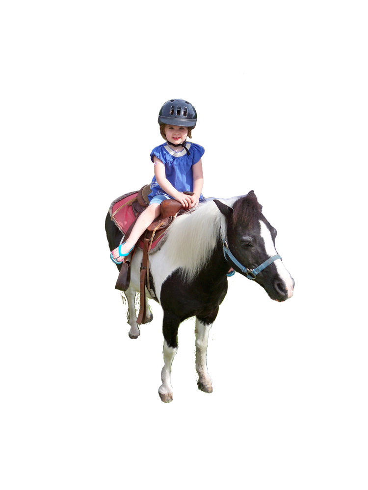 Little Hart's Preschool - childcare center in Allen, TX