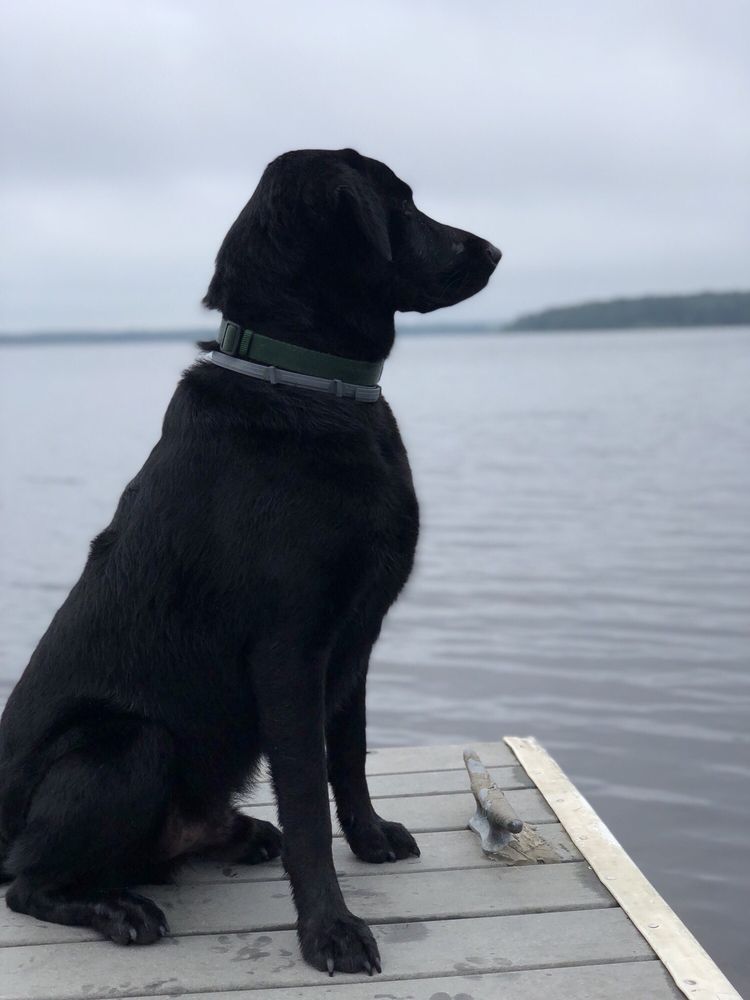 WORDEN’S POND FAMILY CAMPGROUNDS Updated September 2024 416 Wordens