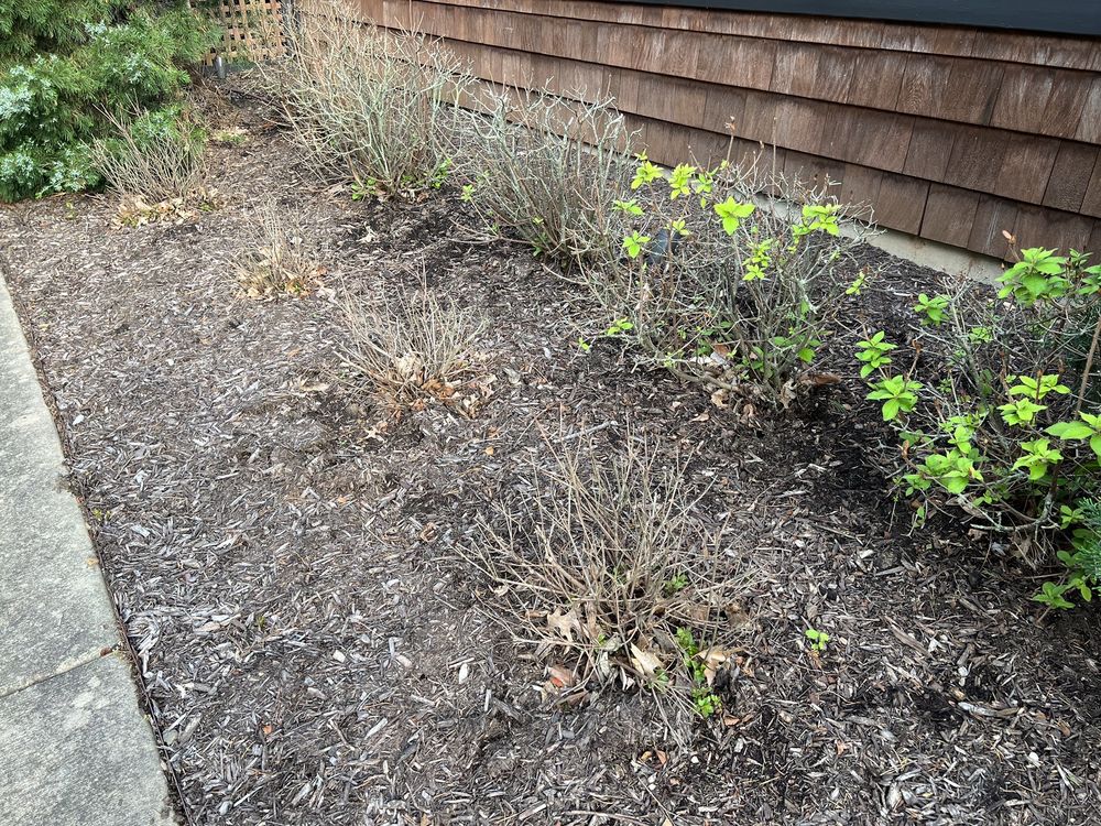 A Clean Cut Lawn Care - tree service in Fayetteville, AR