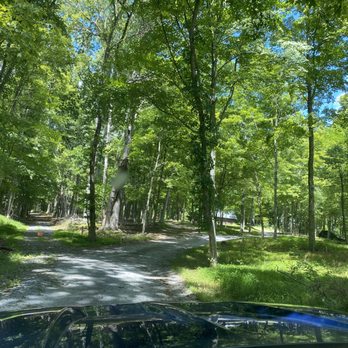 Coolfont Resort - The road to our room. Lovely. - American Near Me - Berkeley Springs, West Virginia Coolfont Resort - The road to our room. Lovely. - American Near Me - Berkeley Springs, West Virginia