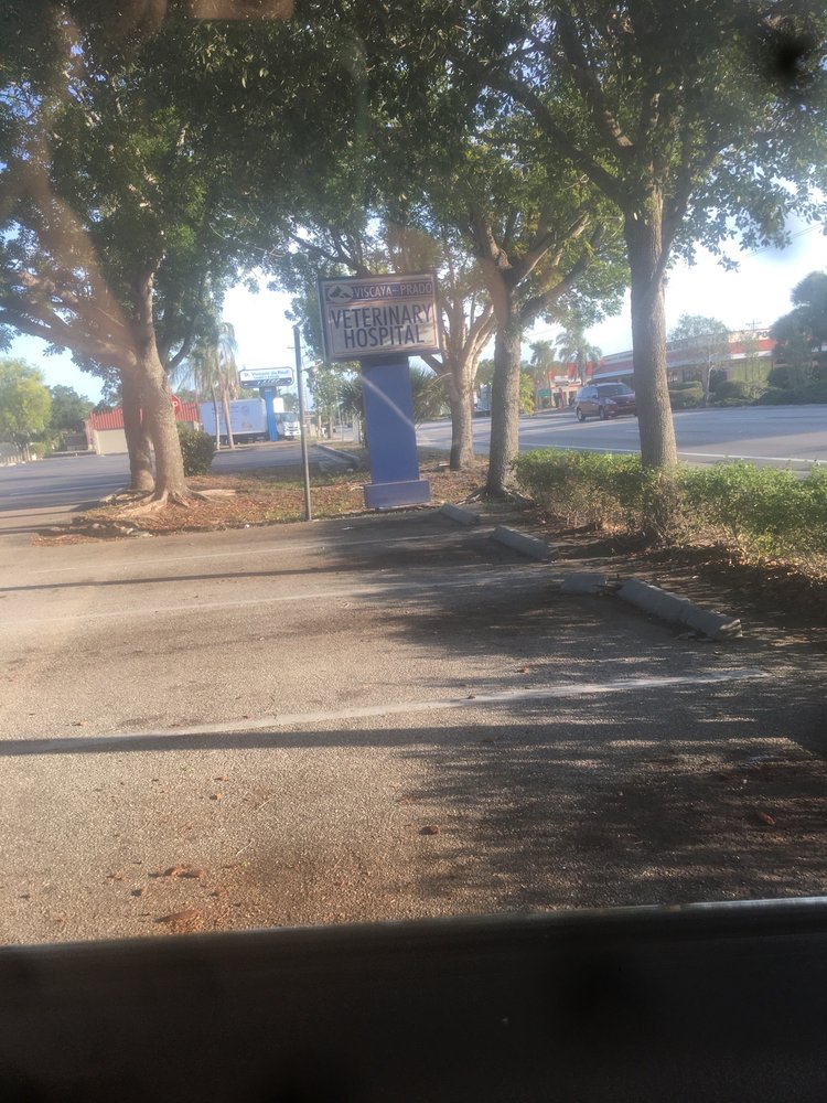 VISCAYAPRADO VETERINARY HOSPITAL 12 Photos & 65 Reviews 2015 Del