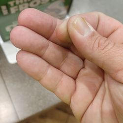 Wendy's - Hair in my Wendy's double....