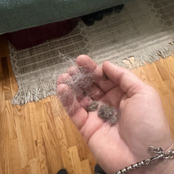 Coastal House Cleaning - Dust gobs and dog hair on floor in bedroom - Home Cleaning Near Me - San Diego, California