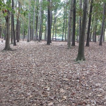 Millbrook Exchange Dog Park - Mowed the forest for your dog to run through and play in - Dog Parks Near Me - Raleigh, North Carolina Millbrook Exchange Dog Park - Mowed the forest for your dog to run through and play in - Dog Parks Near Me - Raleigh, North Carolina