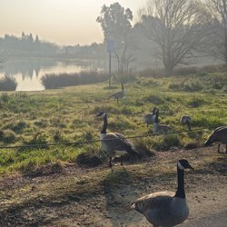 Camden Park Greenbelt