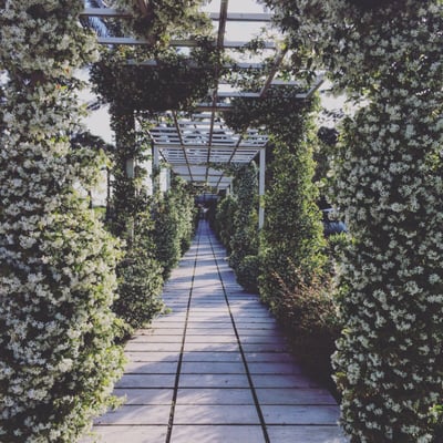 Versilia Lido | UNA Esperienze by null