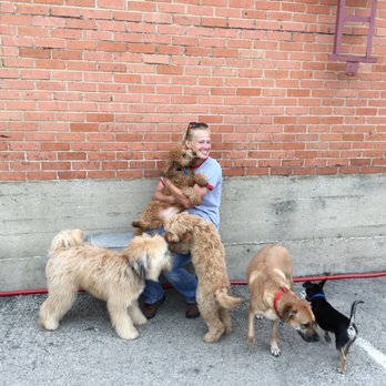 Underdog Kennels - Pet Groomers Near Me - Dallas, Texas Underdog Kennels - Pet Groomers Near Me - Dallas, Texas