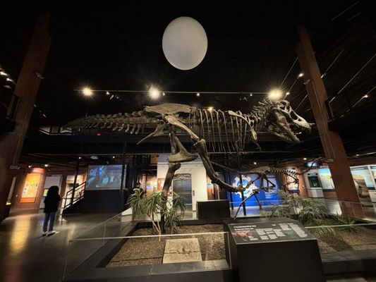 Houston Museum of Natural Science at Sugar Land by null