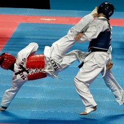 Taekwondo Torino Zagato Team