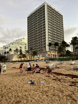 San Juan Marriott Resort & Stellaris Casino by null