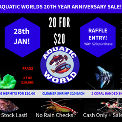 Aquatic World - AQUATIC WORLD 20th year anniversary sale ! January 28th 10am to 5pm Cash only plus sales tax .