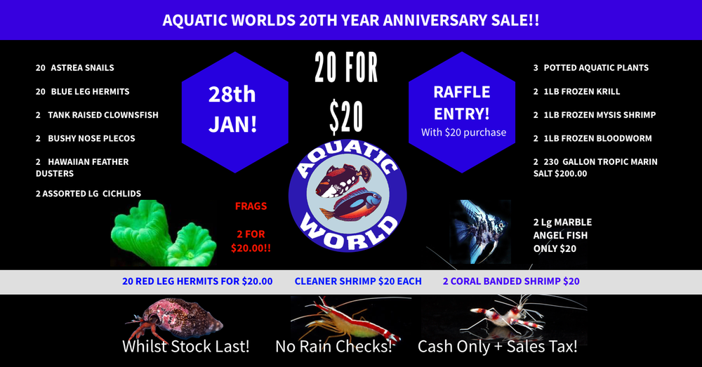 AQUATIC WORLD Updated October 2024 22 Reviews 2029 W Belmont Ave