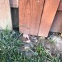 Photo of Quality Yard and Home Maintenance