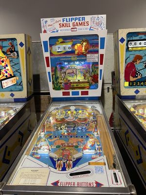 Pinball Hall of Fame by null