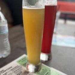 Jack & Gingers - IPAs