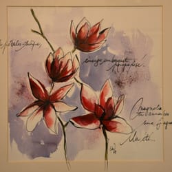Cabinet dentaire Lumière
