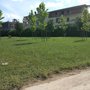 Photo of Parco Urbano dei Camaldoli