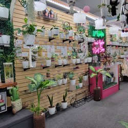 LV Plantas