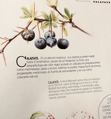 Peumayén Ancestral Food by null