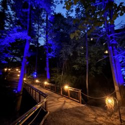 Aquavia Lumina - Forest path