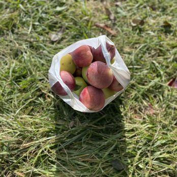 Honey Hill Orchard - Fruits & Veggies Near Me - Waterman, Illinois