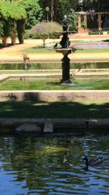 Parque de María Luisa by null