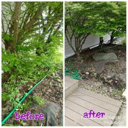 Mistah Jays Hands For Hire