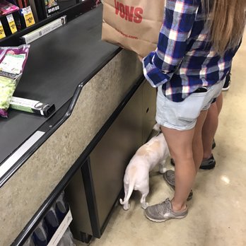 Vons - I don't get why people bring their dogs to a grocery store! Leave them at home!! - Grocery Near Me - Pasadena, California Vons - I don't get why people bring their dogs to a grocery store! Leave them at home!! - Grocery Near Me - Pasadena, California
