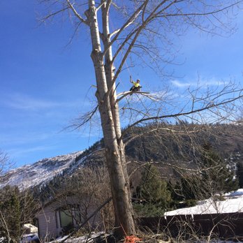 Done Right Tree Service - Tree Services Near Me - Merritt, British Columbia