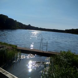 LadySlipper Inn - View of pond #2