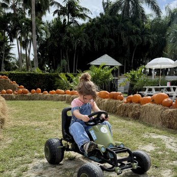 Tinez Farms - Attraction Farms Near Me - Miami, Florida Tinez Farms - Attraction Farms Near Me - Miami, Florida